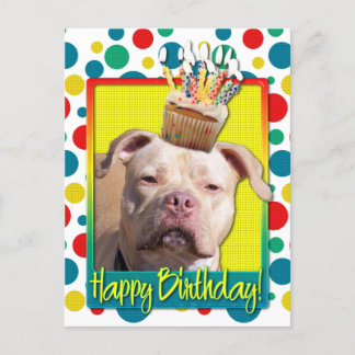 Cartão Postal Cupcake de aniversário - Pitbull - Jersey Girl