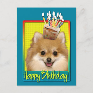 Cartão Postal Cupcake de aniversário Pomeraniano