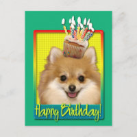 Cupcake de aniversário Pomeraniano