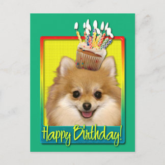 Cartão Postal Cupcake de aniversário Pomeraniano