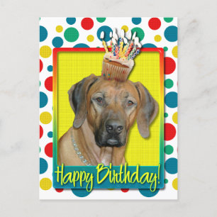 Cartão Postal Cupcake de aniversário - Ridgeback rodesiano