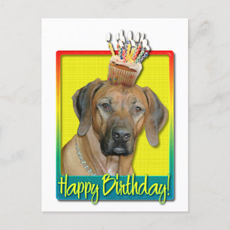 Cartão Postal Cupcake de aniversário - Ridgeback rodesiano