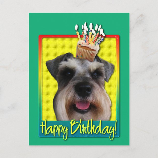 Cartão Postal Cupcake de aniversário - Schnauzer (Frente)