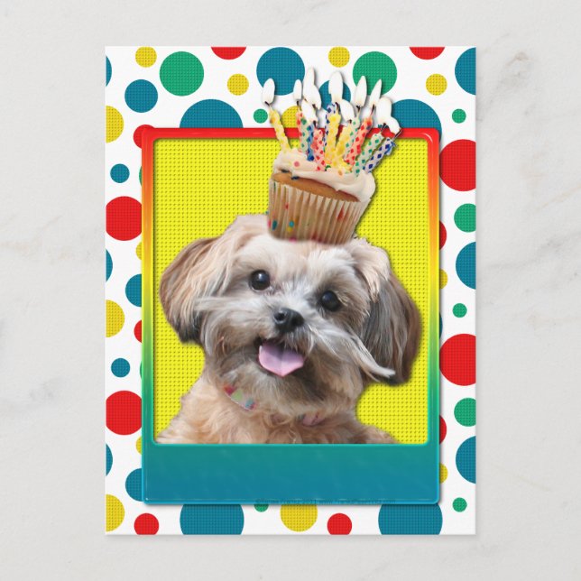 Cartão Postal Cupcake de aniversário - ShihPoo - Maggie (Frente)