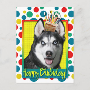 Cartão Postal Cupcake de aniversário - Siberian Husky