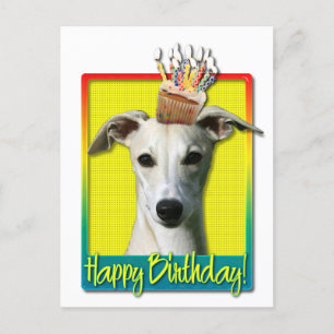 Cartão Postal Cupcake de aniversário - Whippet
