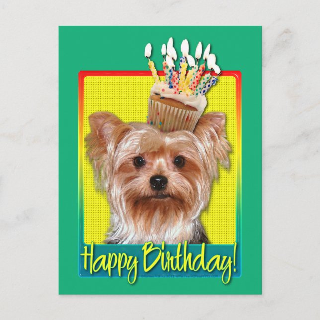 Cartão Postal Cupcake de aniversário - Yorkshire Terrier (Frente)