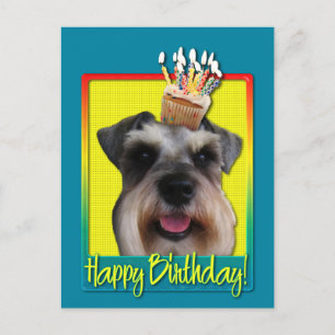 Cartão Postal Cupcake do aniversário - Schnauzer