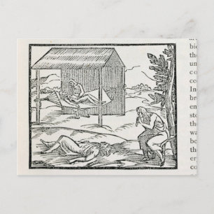 Cartão Postal Curando a Doença, Nativos de Hispaniola