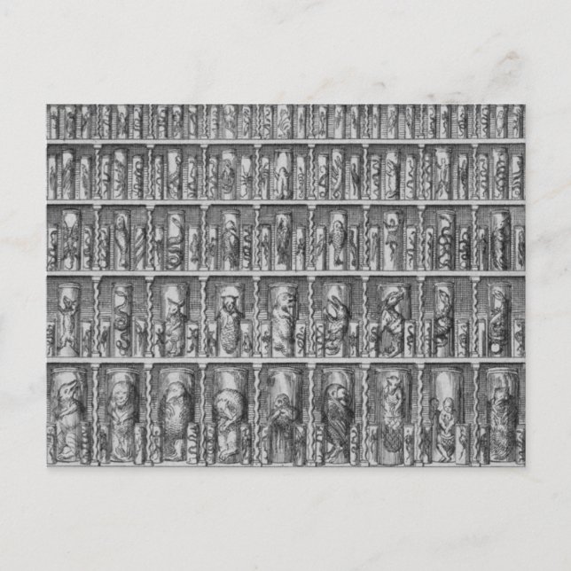 Cartão Postal Curiosidade (Frente)