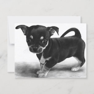 Cartão Postal Curioso Chihuahua Puppy - trabalho de arte pintado