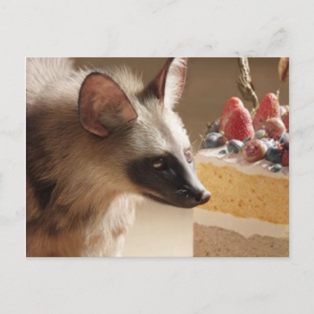 Cartão Postal Curious Hyena & Cake Postcard (Frente)