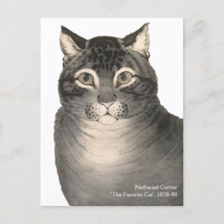 Cartão Postal Currier & Ives Cat Victorian Fine Art
