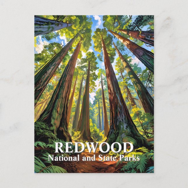 Cartão Postal Custom Redwood National Park Trees Painting Travel (Frente)