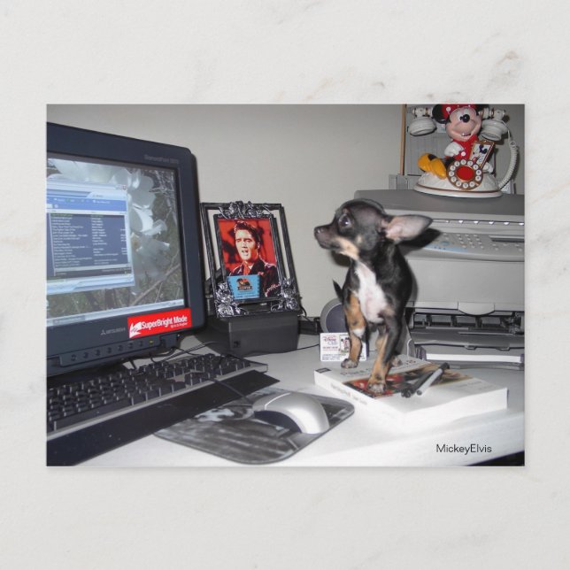 Cartão Postal Cute Baby Mickey Elvis 1 (Frente)