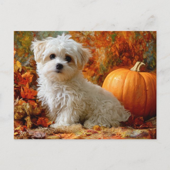 Cartão Postal Cute Dog Fall Autumn Pumpkin Fall Leaves Design (Frente)