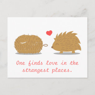 Cartão Postal Cute Hedgehog encontra seu verdadeiro amor em uma