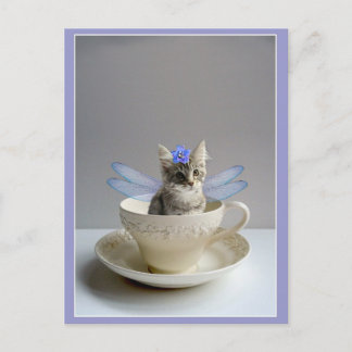 Cartão Postal Cute kitten in tea cup postcard