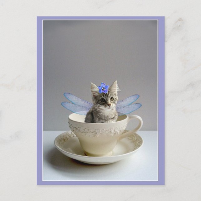 Cartão Postal Cute kitten in tea cup postcard (Frente)
