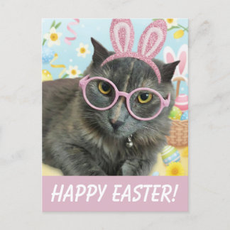 Cartão Postal Cute Kitten with Bunny Ears photo