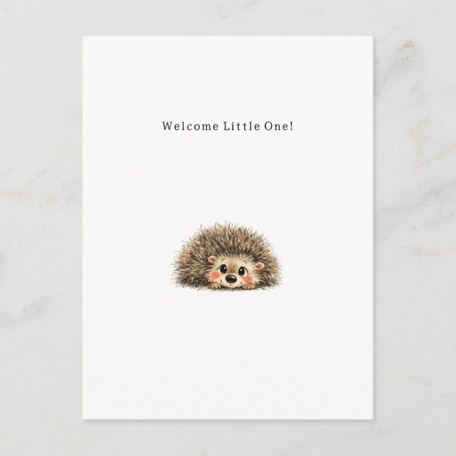 Cartão Postal Cute Little Hedgehog New Baby Card. (Frente)