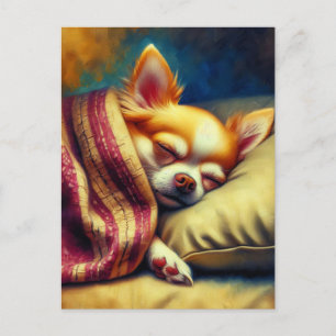 Cartão Postal Cute Napping Chihuahua   Manter em contato