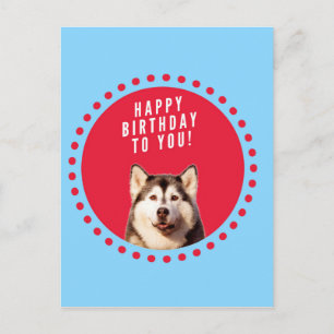 Cartão Postal Cute Siberian Husky Feliz Aniversário, ponto verme