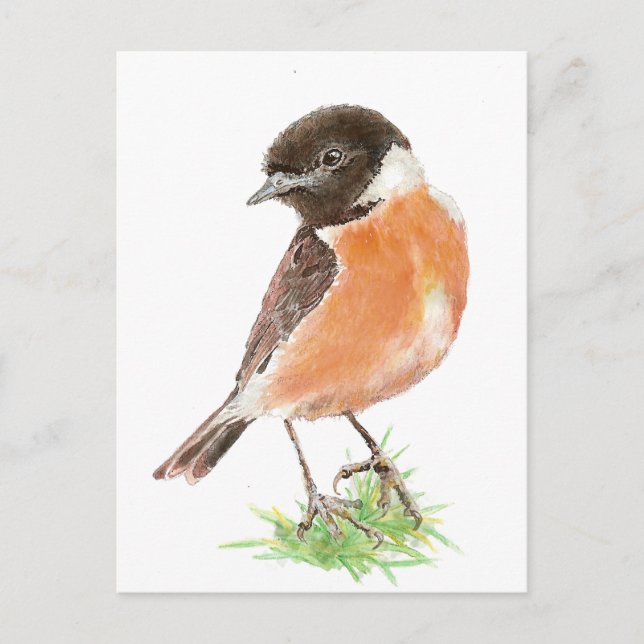 Cartão Postal Cute Stonechat, Watercolor Bird Collection (Frente)
