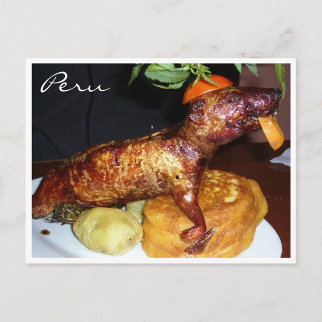 Cartão Postal cuy peru (Frente)