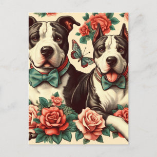 Cartão Postal Cuz Vintage American Pit Bull Terrier