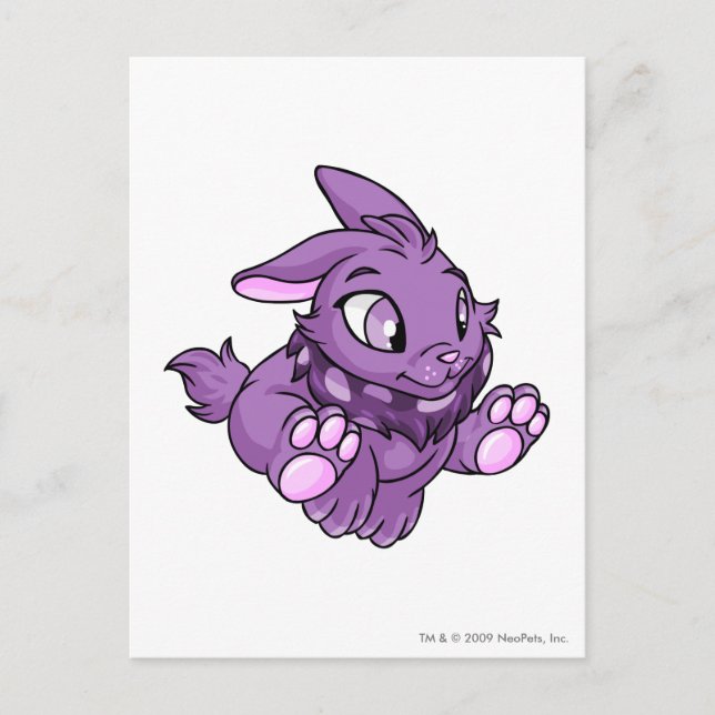 Cartão Postal Cybunny Purple (Frente)