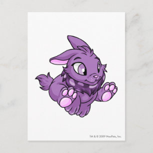 Cartão Postal Cybunny Purple
