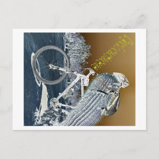 Cartão Postal Cyclocactaceae