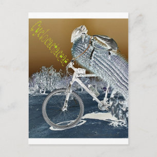 Cartão Postal Cyclocactaceae