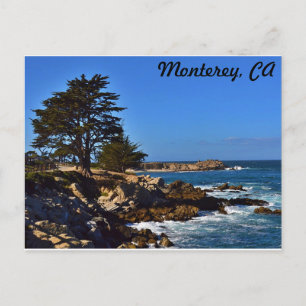 Cartão Postal Cypress em Monterey