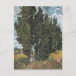 Cartão Postal Cypress Trees por Van Gogh<br><div class="desc">Vincent Van Gogh Painting Series - Cypress Trees</div>