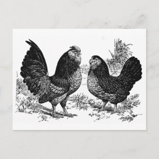 Cartão Postal d' Anver Club