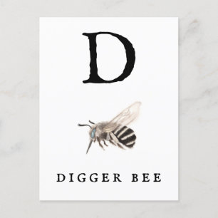 Cartão Postal "D" Digger Bee