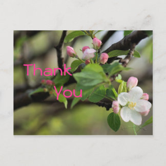 Cartão postal da Apple - personalize qualquer ocas