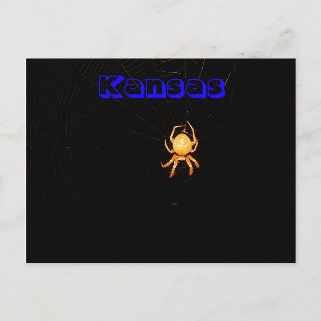 Cartão Postal da Aranha Tecelã de Kansas (Frente)