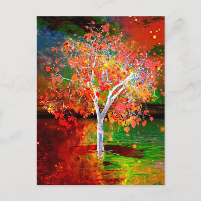 Cartão postal da árvore estelar (Frente)