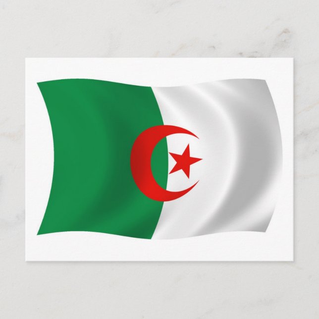 Cartão Postal da Bandeira da Argélia (Frente)