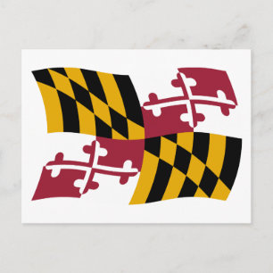 Cartão Postal da Bandeira de Maryland