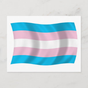 Cartão Postal da Bandeira do Orgulho Transgênero