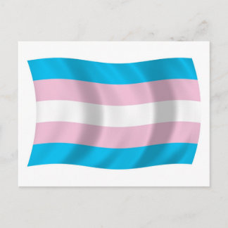 Cartão Postal da Bandeira do Orgulho Transgênero