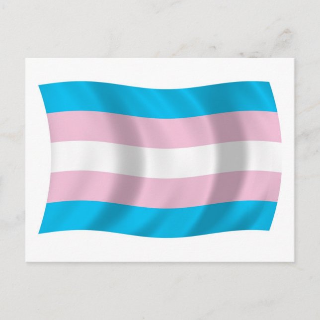 Cartão Postal da Bandeira do Orgulho Transgênero (Frente)