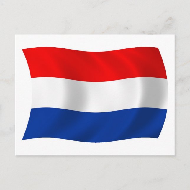 Cartão Postal da Bandeira dos Países Baixos (Frente)