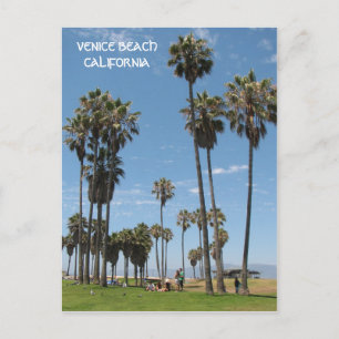 Cartão postal da bela Venice Beach!