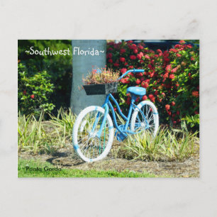Cartão postal da bicicleta azul do sudoeste da Fló