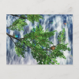 Cartão Postal da Birdsnest Falls